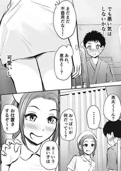 Wakazuma Kangoshi no Onee-san o Netoreta Hanashi