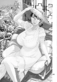 (C88) [Shiawase Pullin Dou (Ninroku)] Package Meat 11 (Queen's Blade)