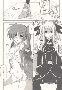 (C87) [STROLL IN THE WOODS !! (ELF)] Fate ni Kiwadoi Shashin o Okuttara Shigoto no Kouritsu ga Agaru no Housoku. (Mahou Shoujo Lyrical Nanoha)