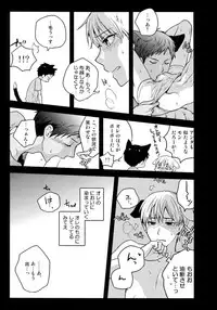 (C88) [QQaid (Nekoyama Kuro)] Jukebox #03 (Kuroko no Basuke)