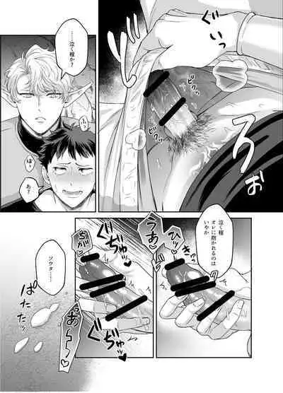 Yuusha-san Kyokon Elf to Isekai Haramase Tabi