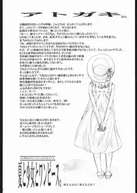 [Saomako (Various)] Metou Tiger 3 (Street Fighter)