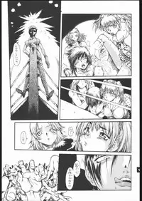 (C68) [Sekai no Hate (B-MARY)] The IDOL (Rumble Roses)