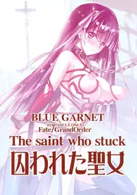 (C93) [Blue Garnet (Serizawa Katsumi)] Toraware Seijou (Fate/Grand Order)