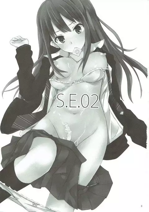 S.E.02
