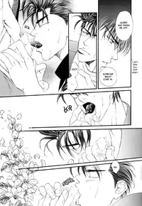 Slam Dunk - sakura no Ori