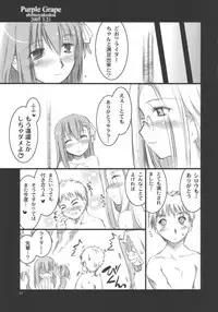 (CSP4) [Shimoyakedou (Ouma Tokiichi)] Purple Grape (Fate/stay night)