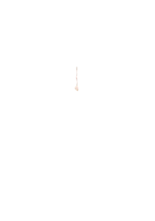 Yuuka-Chirabatta Daiyoukai no Kakera-