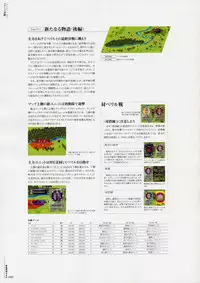 [Various] Moldavite Visual Fanbook