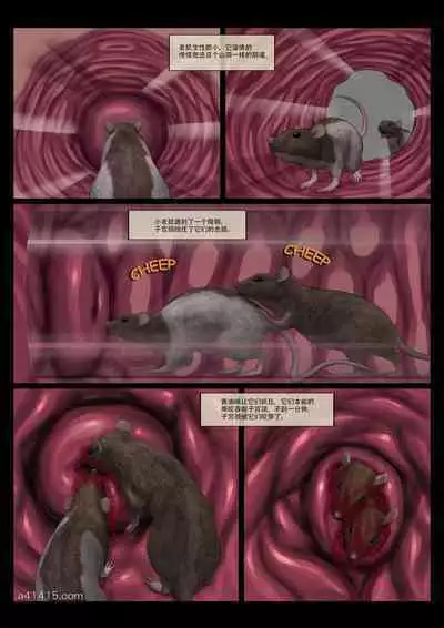 Mad Doc Miss Universe 01-16