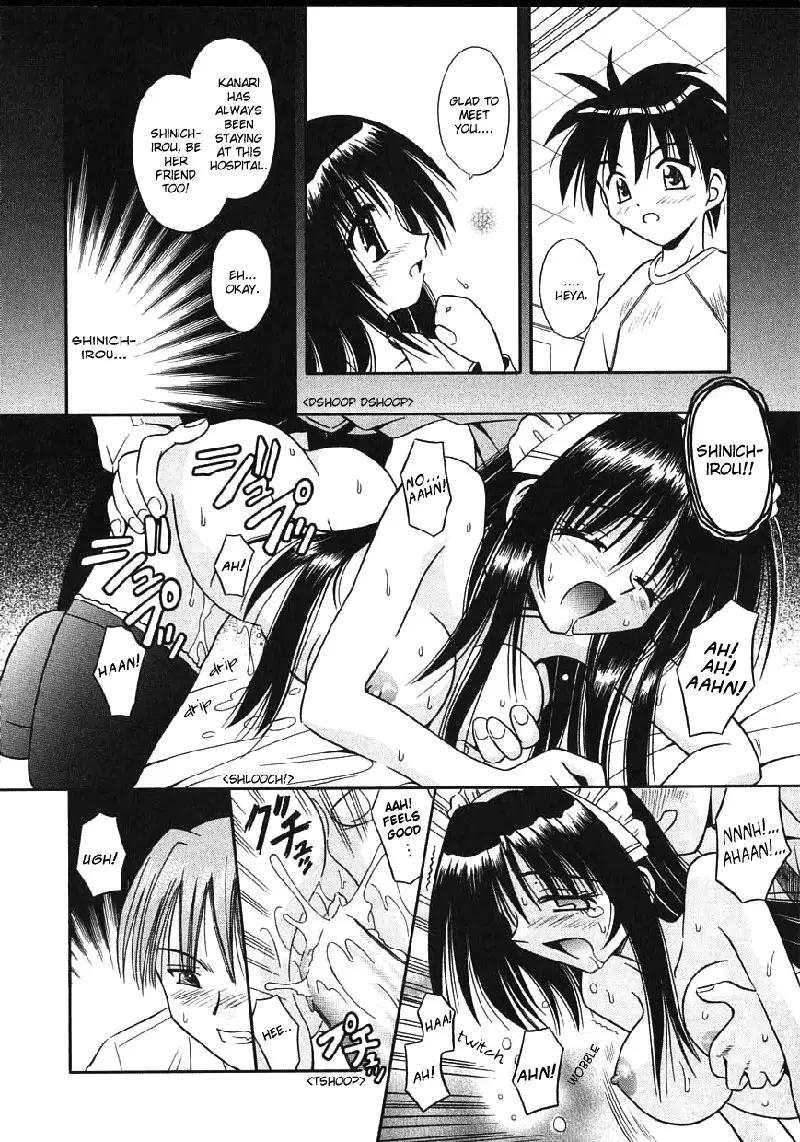 Palladium Garden 05 - The Treasure In The Trap