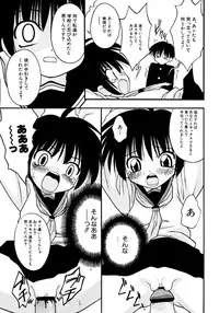 [yeahhhy tomii] Meconopsis