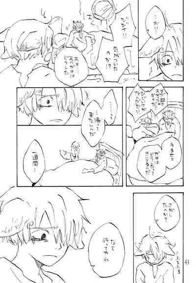 海の虹が沈む森