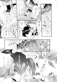 [Noraneko Nagaya] Horoama Omocha Hako