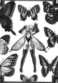 [Kondom] Bondage Fairies Zannin Shimai