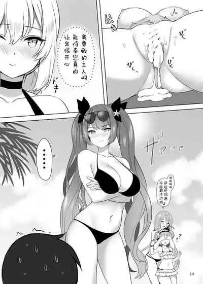 Hokorashiki Goshujin-sama e no Maid Houshi