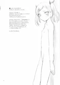 (C90) [Pazzo S.P. (Akikaze Shirakumo)] Petite Soeur 13 (SHIROBAKO)