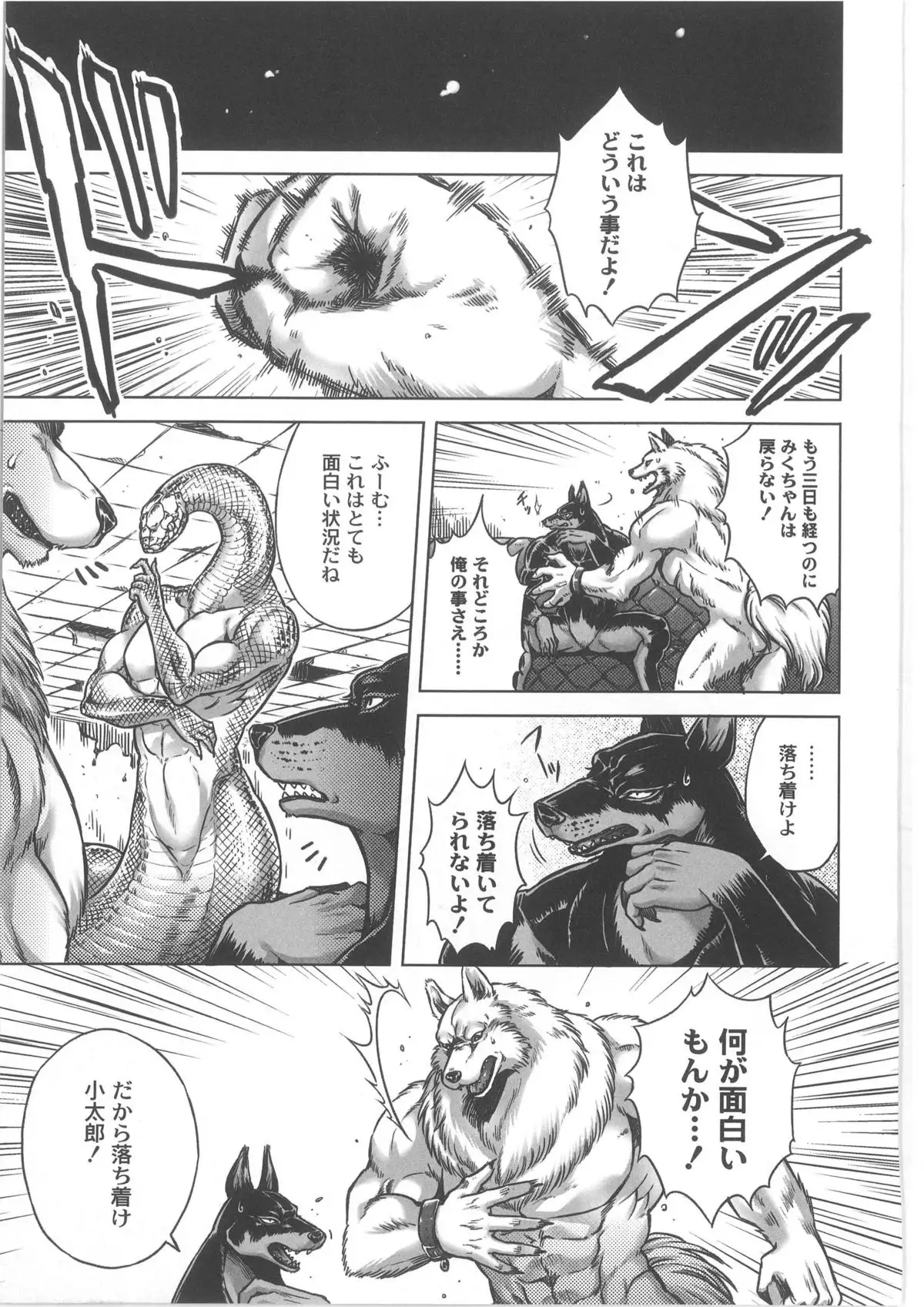 Monthly QooPA 2013-10