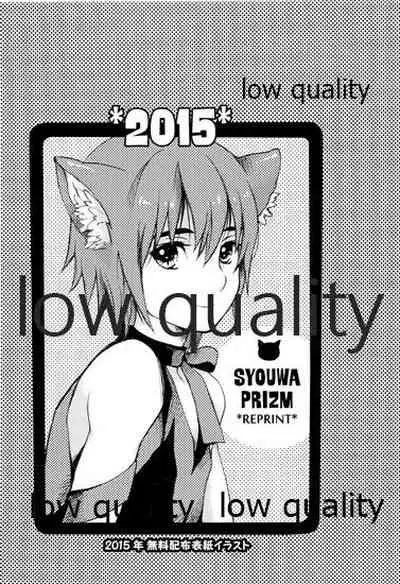 PRIZM SPECIAL REPRINT