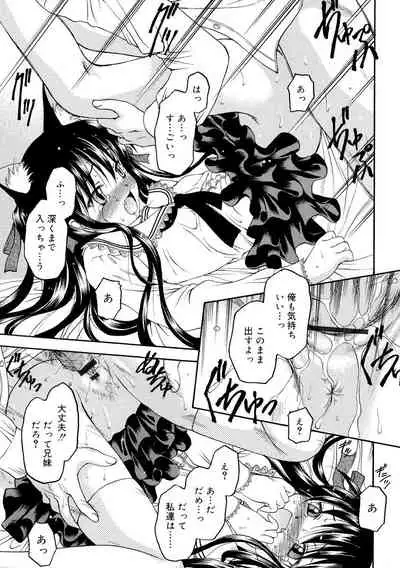 Nando Umarekawatte mo Kitto