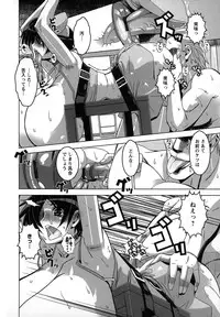 [HG Chagawa] Mesuinu no Hibi