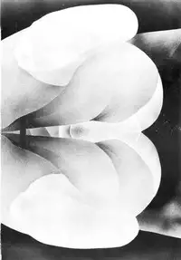 (C37) [Asimotoni Doukoukai (Dairiku Byoutou)] Dairiku Byoutou Kaiteiban