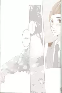 [Chiroru] Dog (Ace Attorney) (English)