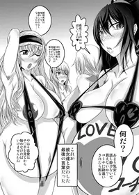 [Bitch Bokujou (Bokujou Nushi K)] GIRLS MEET DQN’S TINPO (Infinite Stratos) [Digital]