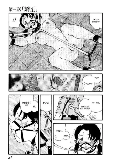 Volunteer Breeding Ch.3