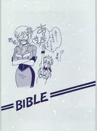 Galaxy Angel - Kyouaku-teki Shidou 13 (Bible)
