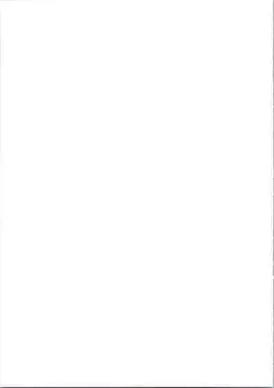 Futari wa Puni Cure Max Heart