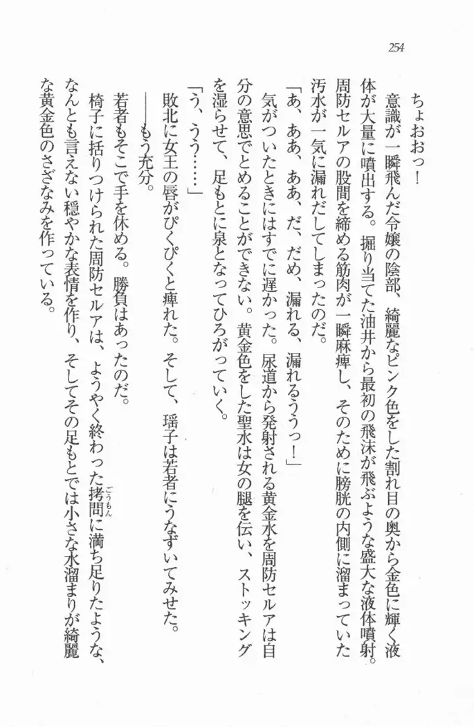 メイド喫茶 猫の隠れ家