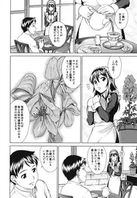 [Shinogi A-suke] Shoujo no Iroha