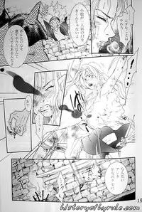 X The Dark Legend of Zelda