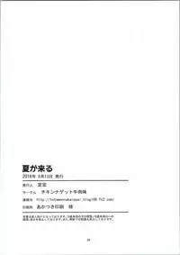 (C90) [Chicken Nugget Gyuuniku Aji (Sadahiro)] Natsu ga Kuru (Touhou Project)