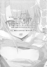 (C73) [Yuuhodou (Telemark)] Hinagiku Haji. (Hayate no Gotoku!)