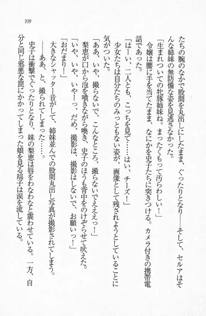 メイド喫茶 猫の隠れ家