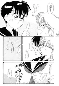 High School Hakusho (Sailor Moon anthology)