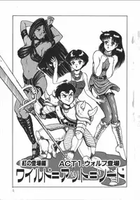 [Tarumoto Hajime] Wild at Sword