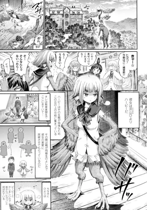 Bessatsu Comic Unreal Monster Musume Paradise 4