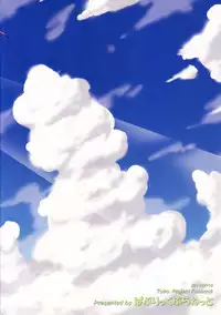 (Meigetsusai 2) [Public Planet (Coaster)] Shirasawa no Seseragi (Touhou Project)