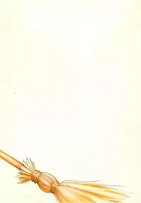 (C62) [Kyougetsutei (Miyashita Miki)] Tokyo Mahou Machi (Shikigami no Shiro)