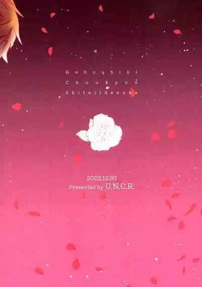 Gohoubi ni Choukyou Shite Ii Desu ka