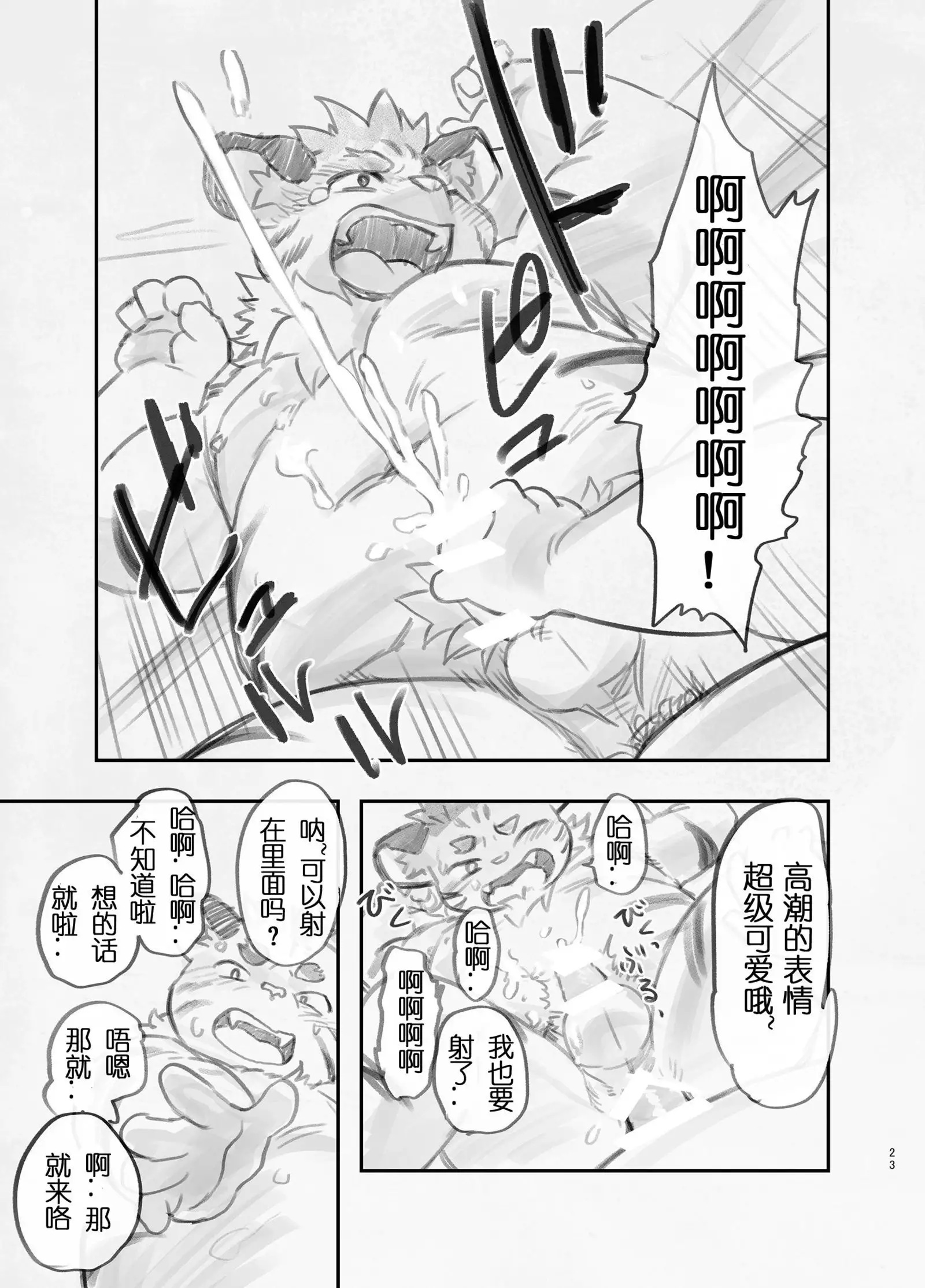 Amateur | 业余摄影