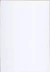 (C93) [Selvage Fisheries (Uo Denim)] GuP Hside+ (Girls und Panzer)