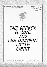 The Seeker of Love and the Innocent Little Rabbit (Axis Powers Hetalia)