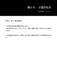 [Isaki (Shimesaba)] 鯖09:三頭の牡犬