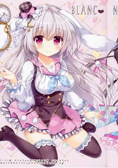 Fuwafuwa Onee-san wa Suki desu ka + Melonbooks Gentei Leaflet