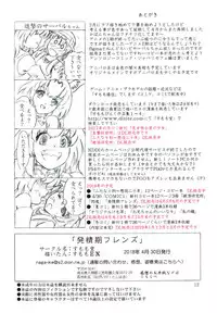 [Sumomo Dou (Sumomo EX)] Hatsujouki Friends (Kemono Friends) [Digital]