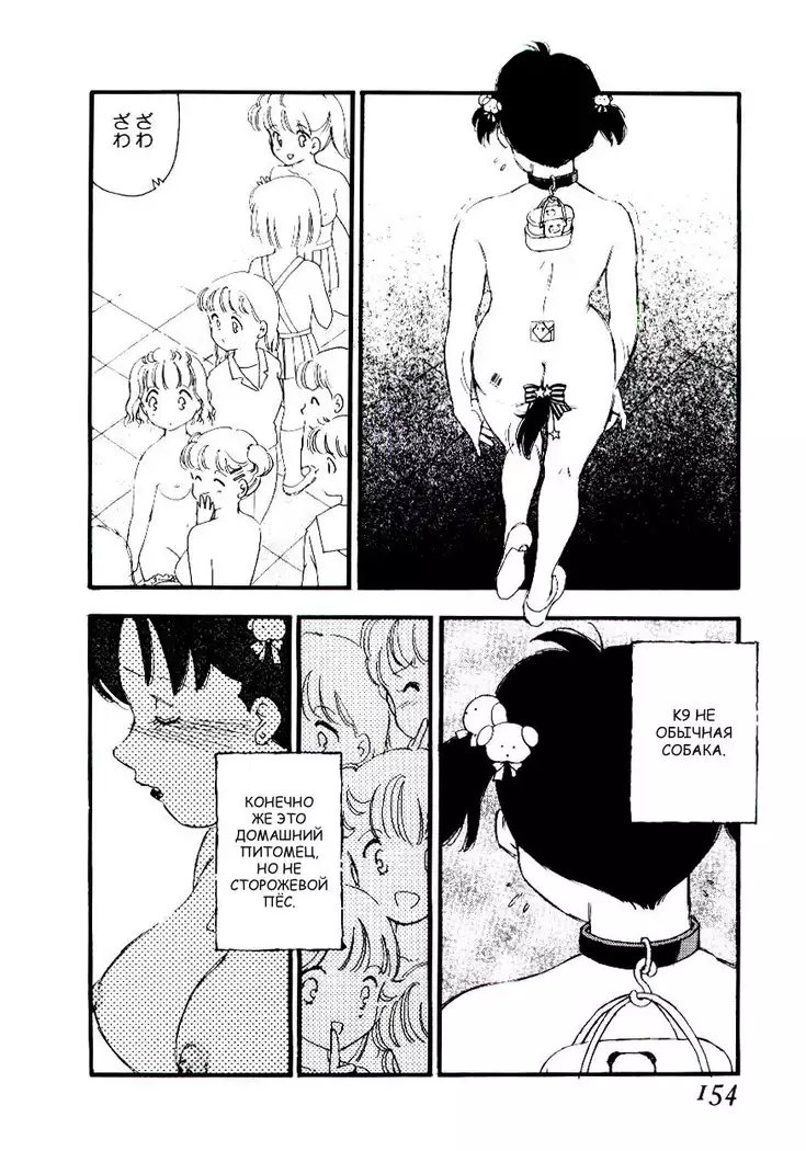 Volunteer Breeding Ch.8